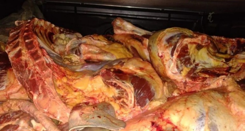 Dos hombres escaparon a los tiros de la Policía: llevaban más de 350 kilos de carne