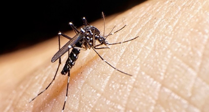Dengue: Nación distribuirá vacunas en el Norte, no incluye a Corrientes 
