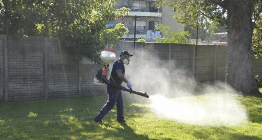 Detectaron poblaciones de aedes aegypti resistentes a los insecticidas