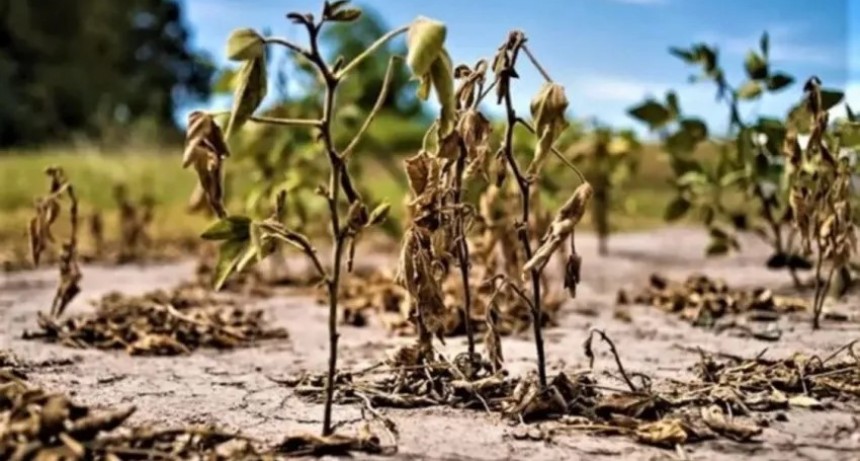 Preocupación por La Niña y el cuadro de sequía que se viene para el resto de la primavera