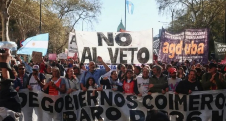 Médicos y docentes marcharon contra los vetos del Gobierno