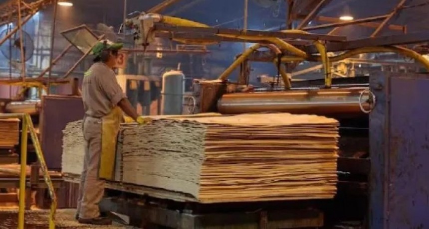 Celulosa Argentina-Tapebicuá pasa a manos de Esteban Nofal