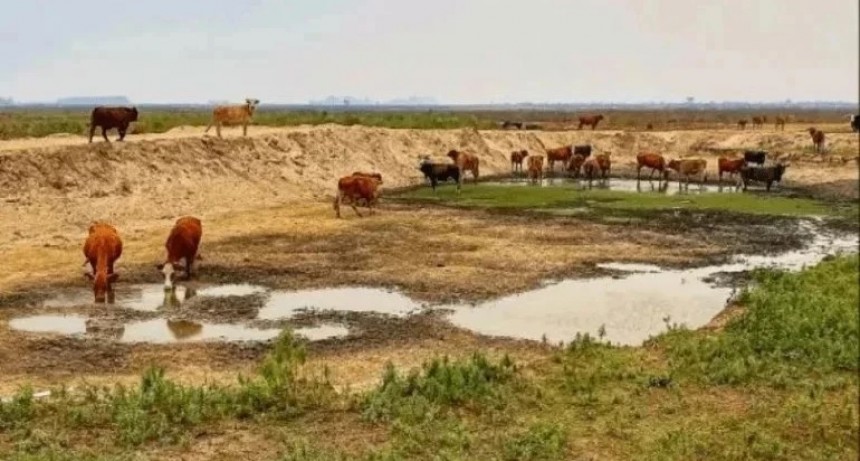 El campo judicializó el pago del bono de $60.000