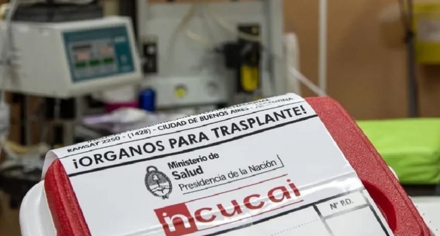 El Incucai desmintió lo que dijo Milei en el debate y condenó su propuesta de vender órganos