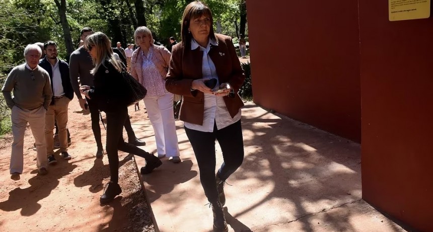 Patricia en su laberinto