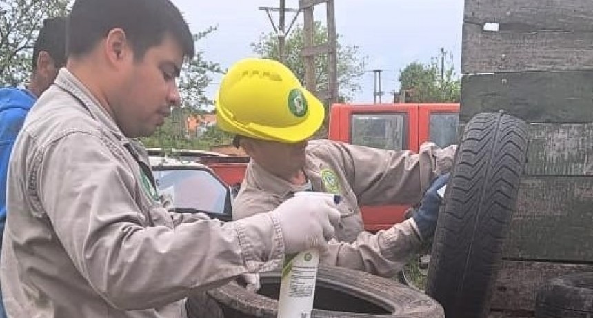 Dengue: advierten sobre la presencia de “criaderos y larvas del Aedes” en viviendas