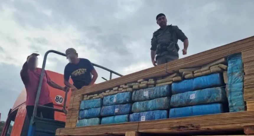 Una perra antinarco encontró seis toneladas de marihuana en un camión que trasladaba madera