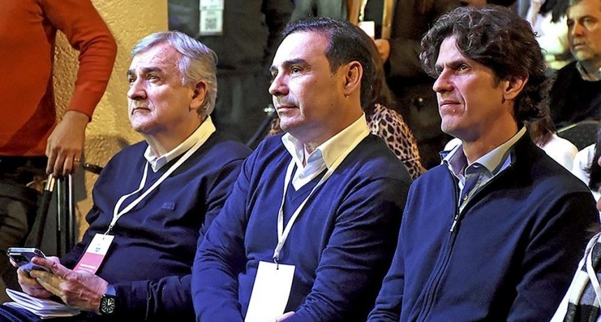 Valdés es uno de los favoritos para presidir la centenaria UCR nacional