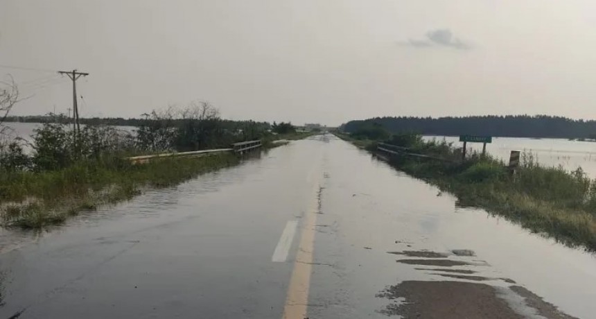 Amplían corte en RN 14 por crecida del Uruguay: no podrán entrar ni salir de Santo Tomé de 19 a 07 hs.