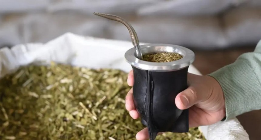 Es histórica la caída en la venta de yerba mate y el precio es el mismo que a comienzos de año