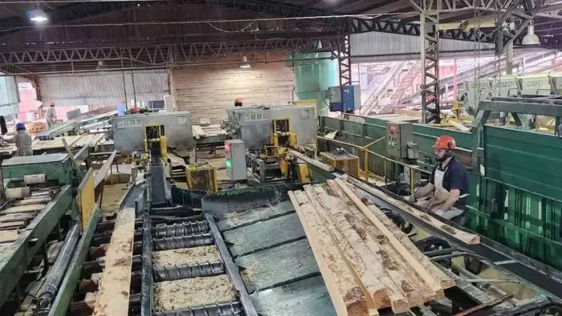 Preocupa la caída del consumo de la madera en el sector forestoindustrial
