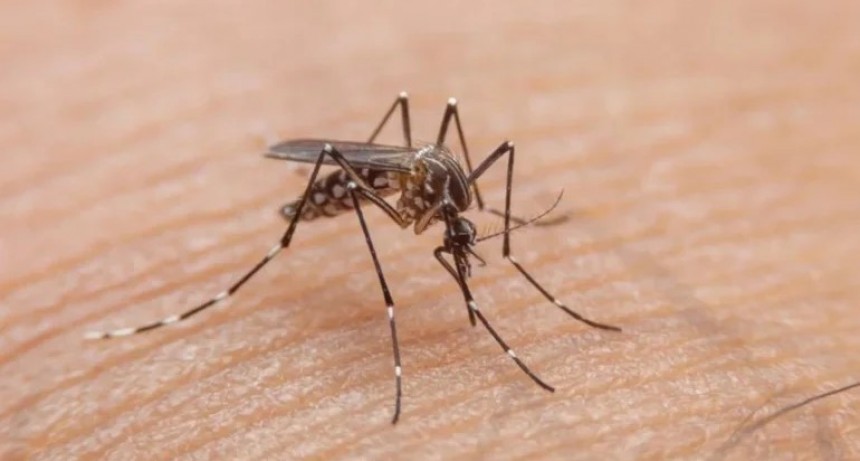 Registran la tercera muerte por dengue en Corrientes
