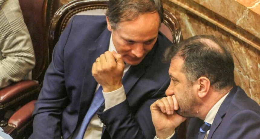 El camaleón Camau se pinta de violeta